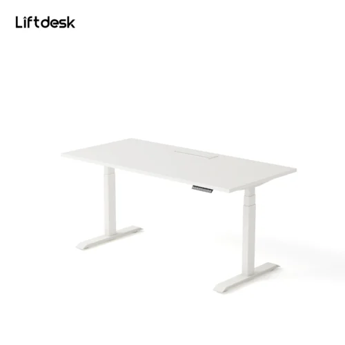 sendi e standing desk