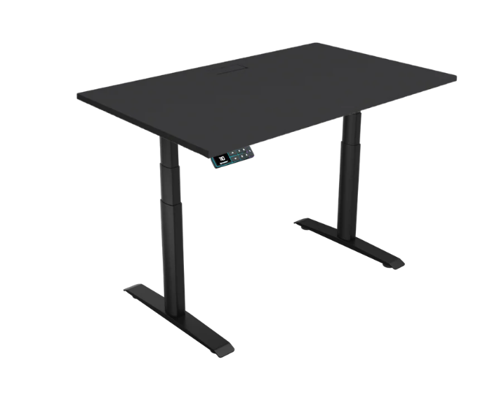 Omnidesk Ascent Ergonomic Adjustable Standing Desk