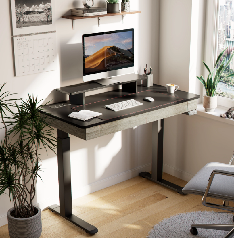 EUREKA Standing Desk With Drawers