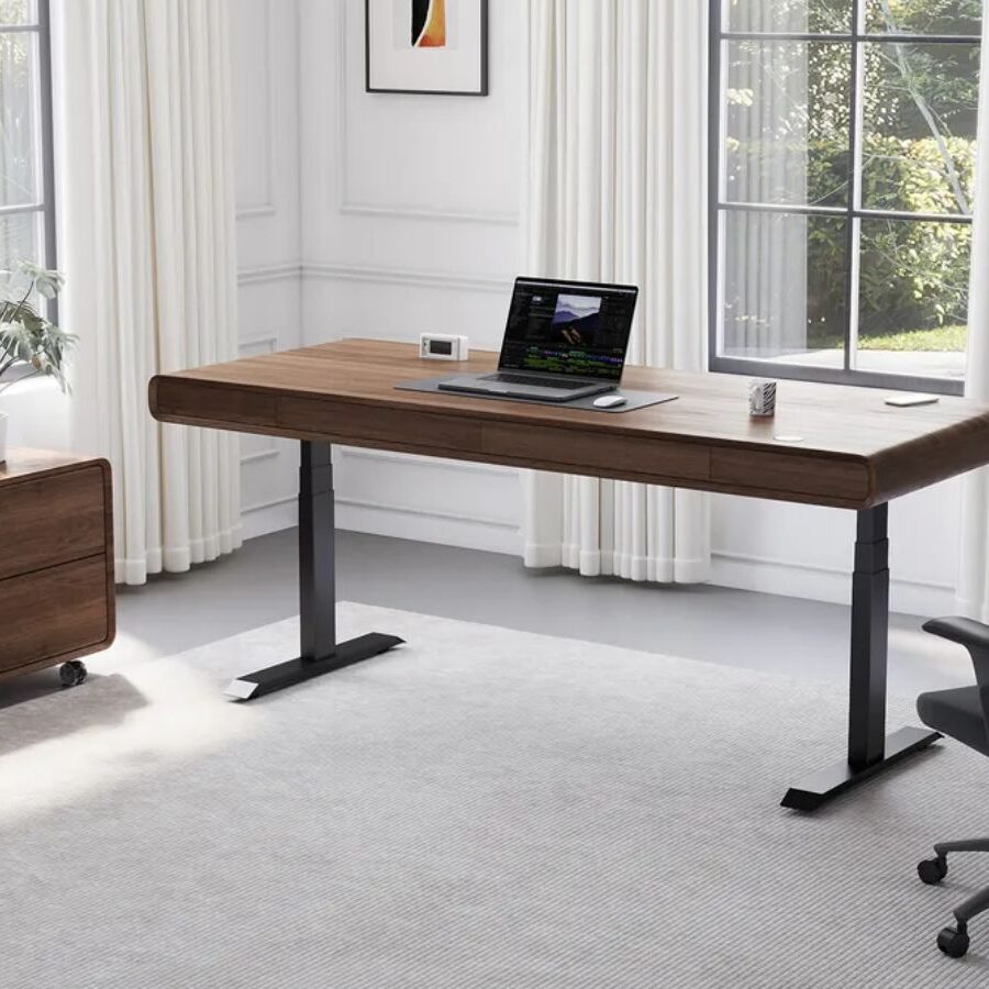 Best Adjustable Standing Desk