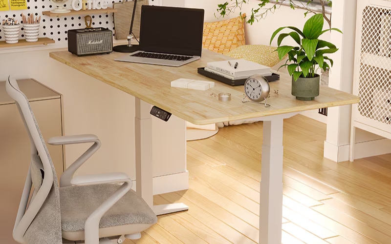 Flexispot E7 Pro budget electric standing desk dual motor