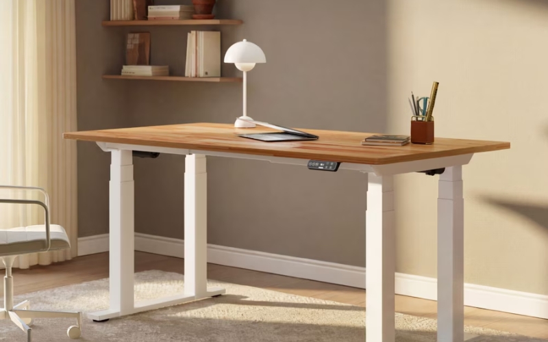 Flexispot Standing desk setup in home office