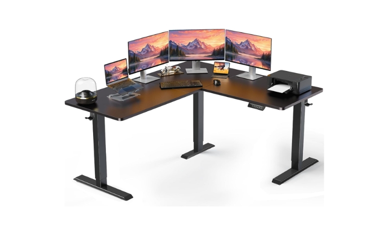 ErGear standing desk